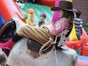 Bullriding Simulator - Rodeo mieten - Galerie - Bild 4