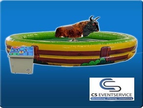 Bullriding Rodeo