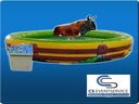 Bullriding Rodeo