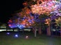 LED Dekolicht , Lichtanlage, Beleuchtung, LED, Lichteffekte - Galerie - Bild 2