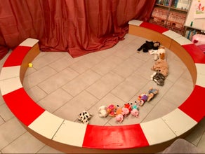 Zirkus Manege