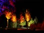 Scheinwerfer LED / Akku Par / Bodenstrahler / LED Floor Spot - Galerie - Bild 2