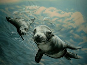 Robben Unterwasser Bühnenbild