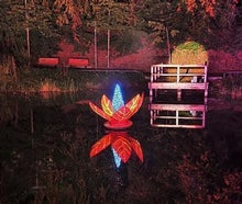 Seerose - Lichtdekoration - schwimmende Blume