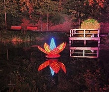 Seerose - Lichtdekoration - schwimmende Blume