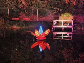 Seerose - Lichtdekoration - schwimmende Blume