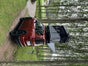 Dacia Jogger Camper - Galerie - Bild 2