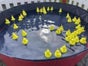 Entenangeln | Spielmodule mieten bei der Dreamcatcher Eventagentur - Galerie - Bild 2