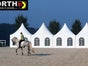 Pagode / Zelt mit elegantem Spitzdach und abnehmbaren Seitenwänden 4x4 m - Galerie - Bild 3