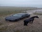 Ferrari Purosangue Mieten Sportwagen Mieten Berlin Autovermietung - Galerie - Bild 3