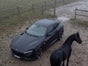 Ferrari Purosangue Mieten Sportwagen Mieten Berlin Autovermietung - Galerie - Bild 3