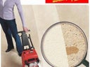 Teppichreiniger mit Schwingbürste - Galerie - Bild 1