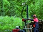 Holzspalter 17 t mit Benzinmotor auf Fahrgestell 80 km/h - Galerie - Bild 2