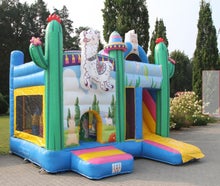 Alpaka Multiplay 2026
