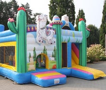 Alpaka Multiplay 2026