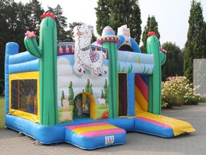 Alpaka Multiplay 2026