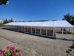 Partyzelt, Festzelt, Zelt für Hochzeit, Firmenfeier, Geburtstag und Event