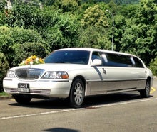 Krystal Coach V120 chrom/weiss