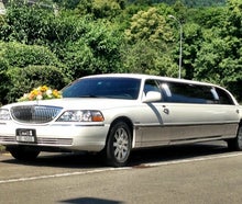 Krystal Coach V120 chrom/weiss