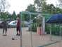 Tor (Kleinfeldtor, Handballtor) inkl. 19% MwSt. - Galerie - Bild 2