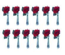 rote Rose 12er Set