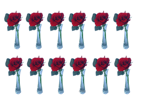 rote Rose 12er Set