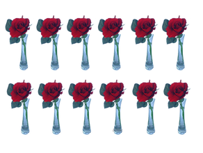 rote Rose 12er Set