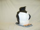 Pinguin, Nordpol, Arktis, Antarktis, Eis, Südpol