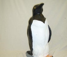 Pinguin, Nordpol, Arktis, Antarktis, Eis, Südpol