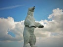 Eisbär stehend