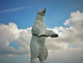 Eisbär stehend