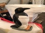 Pinguin, Nordpol, Arktis, Antarktis, Eis, Südpol - Galerie - Bild 2