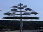 Zunft Baum, Maibaum, Zunftbaum, Oktoberfest, Tanz in den Mai - Galerie - Bild 2