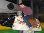 Bullriding - American Western Rodeo inkl. 19% MwSt. - Galerie - Bild 2
