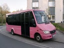 Pinker Partybus - JGA, Geburtstag, Hochzeit & Events