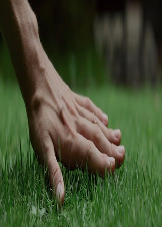 hero image