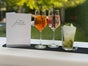 Gläser in verschiedenen Varianten / für jeden Anlass das perfekte Glas - Galerie - Bild 2