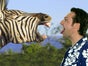 Foto - Bluebox / Greenscreen - Galerie - Bild 2