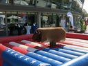 Rodeo Bullriding "US-Style" Spielgerät - Galerie - Bild 1