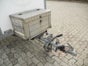 Kühlanhänger Kühlwagen Kühlkoffer 1300kg - Galerie - Bild 2