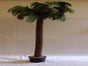 Palmen, Palme, Strand, Beach, Kokosnuss - Karibik - Beach - Galerie - Bild 2