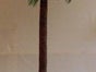 Palmen, Palme, Strand, Beach, Kokosnuss - Karibik - Beach - Galerie - Bild 2