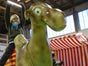 Kamelrodeo - Bullriding Variante inkl. 19% MwSt. - Galerie - Bild 4