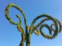 Wonderland - Gras gerollt - für Riesenblumen - Galerie - Bild 3
