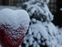 Snow Partners Schneekanone - Schneilanze POLARIS - Galerie - Bild 3