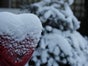 Snow Partners Schneekanone - Schneilanze POLARIS - Galerie - Bild 3