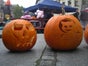 Halloween Kürbisse schnitzen inkl. 19% MwSt. - Galerie - Bild 2