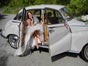 BMW 502 "Barockengel" - Galerie - Bild 2