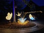 LED Licht Seerose - Galerie - Bild 2
