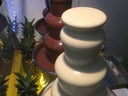 Schokobrunen - Schokofrüchte - Schokoladenbrunnen Vermietung für Hochzeit - Messe - Promotion - Galerie - Bild 1